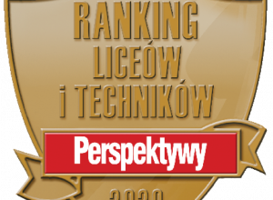 Najlepsze technika w Polsce PERSPEKTYWY