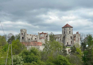 Widok na zamek Tenczyn w Rudnie