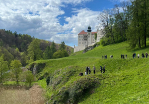 Widok na zamek w Pieskowej Skale